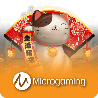 MICROGAMING Game Logo On BIGWIN888